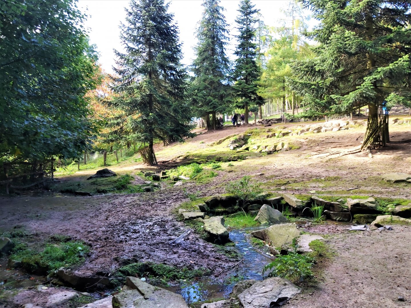 Mediterranean miniature donkey enclosure