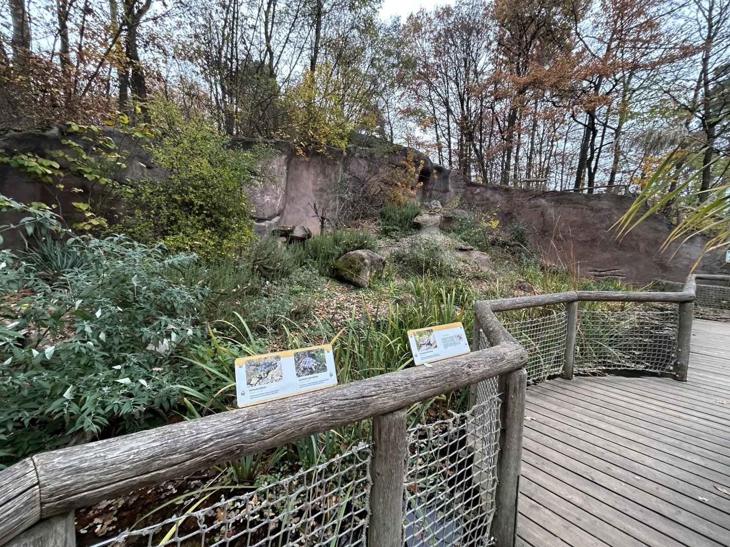 Mediterranean Mixed-species Exhibit (6 species)