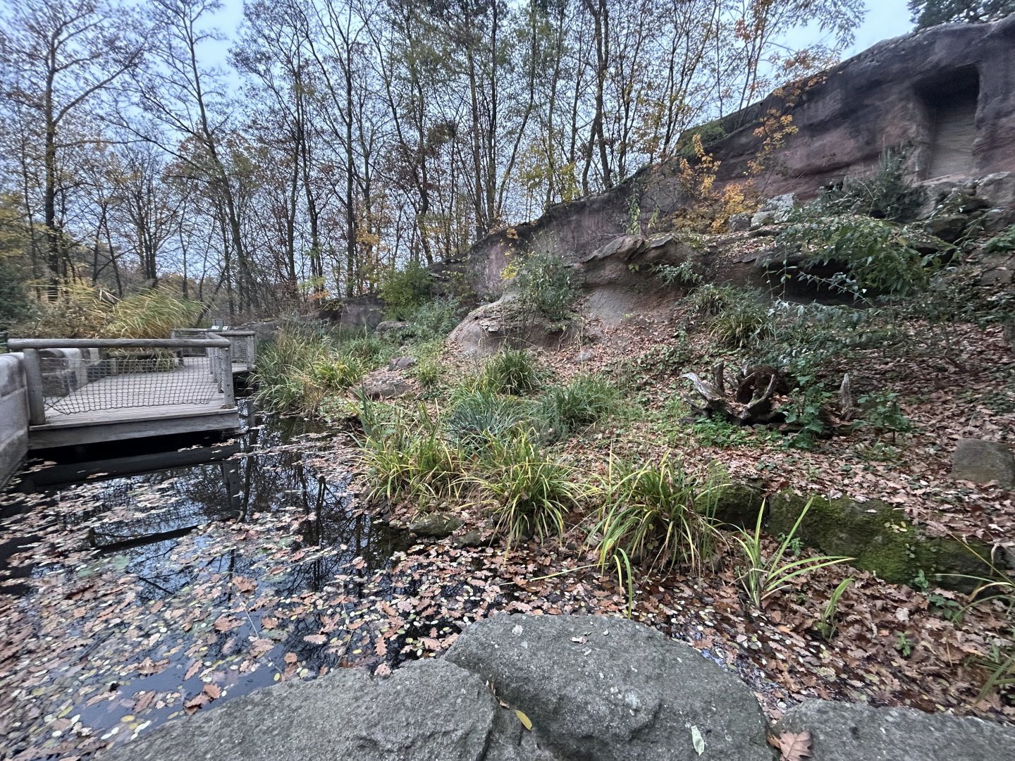 Mediterranean Mixed-species Exhibit (6 species)