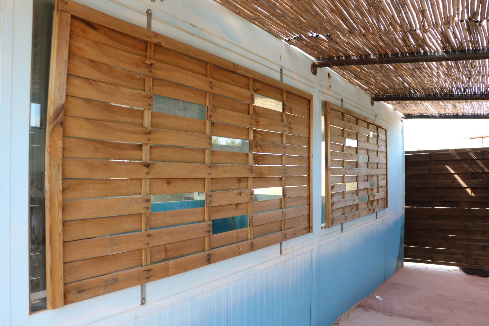 Mediterranean monk seal viewing windows, February 2016