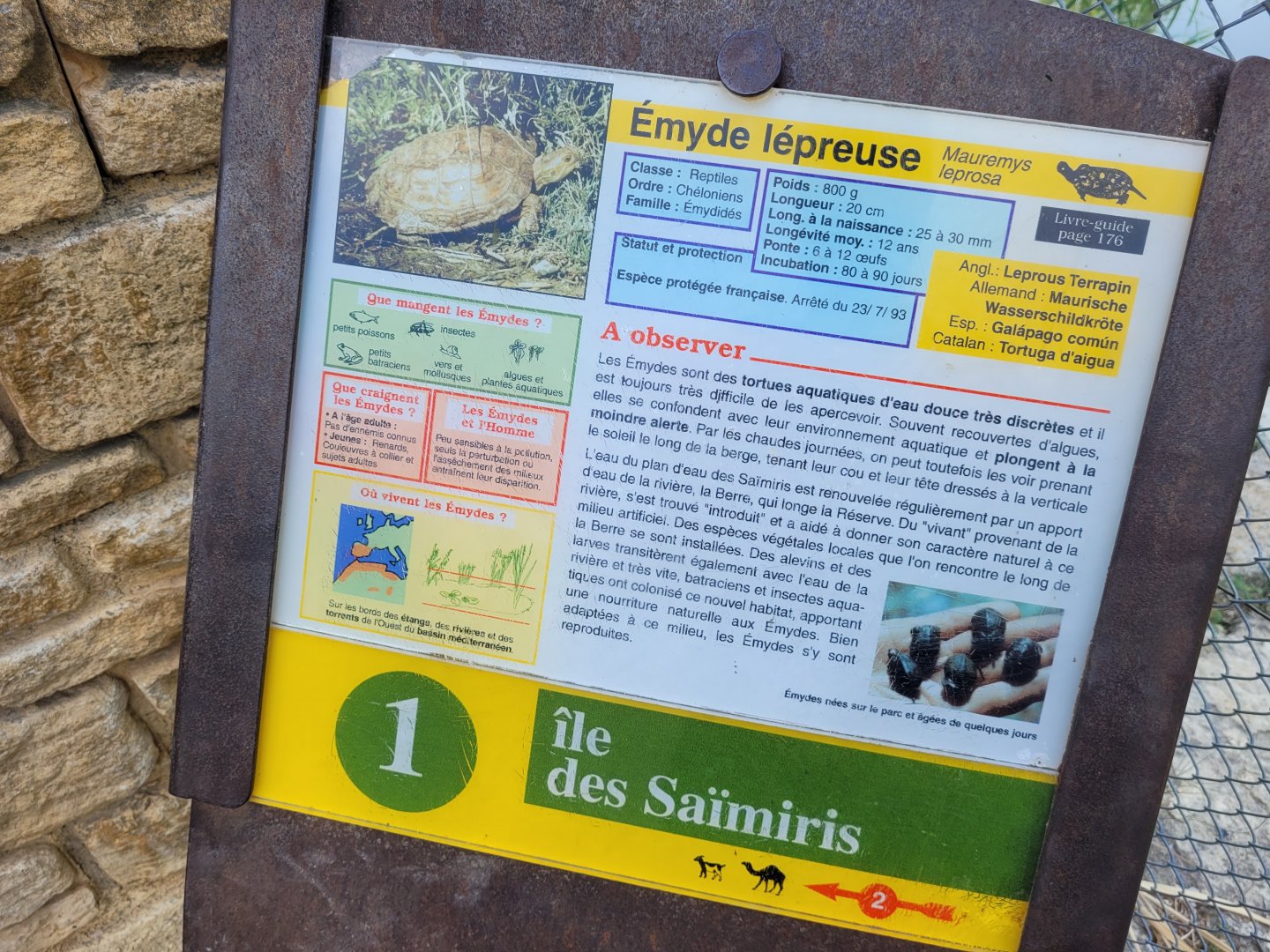 Mediterranean pond turtle sign -Réserve Africaine de Sigean (2022)