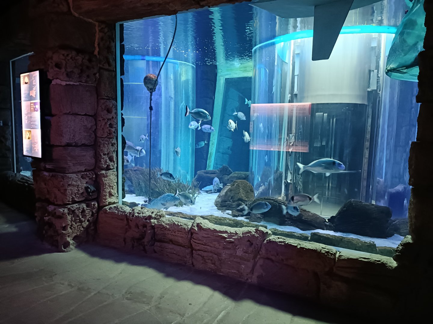 Mediterranean sea aquarium - Centro de visitantes Ses Salines