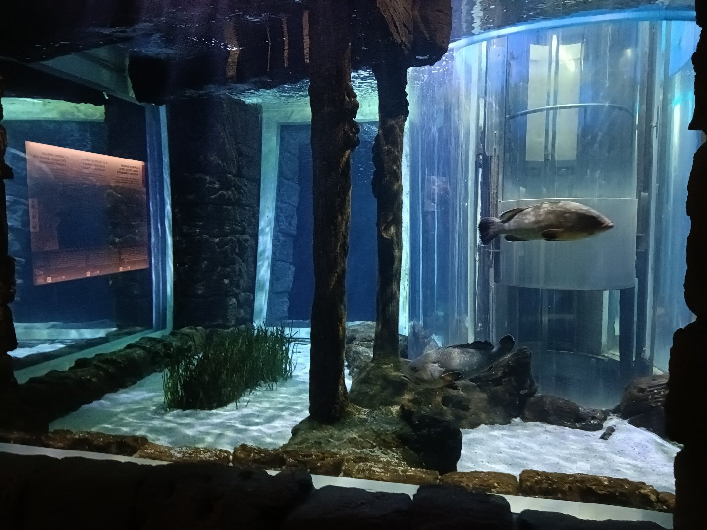 Mediterranean sea aquarium - Centro de visitantes Ses Salines