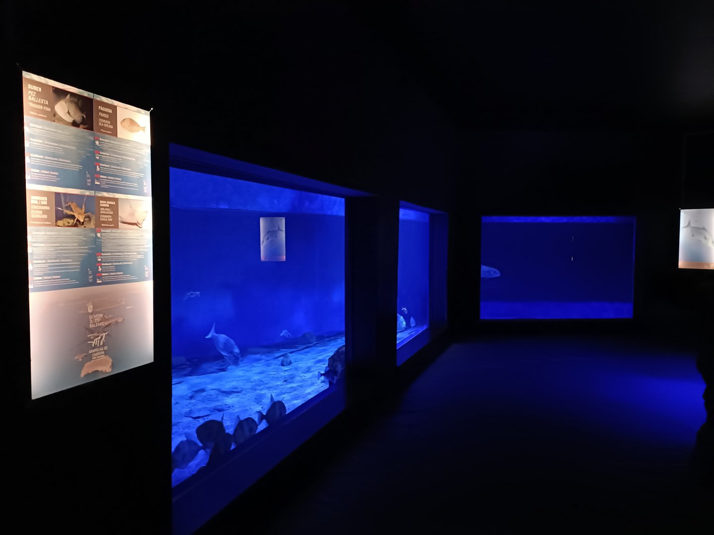 Mediterranean sea aquarium - Centro de visitantes Ses Salines