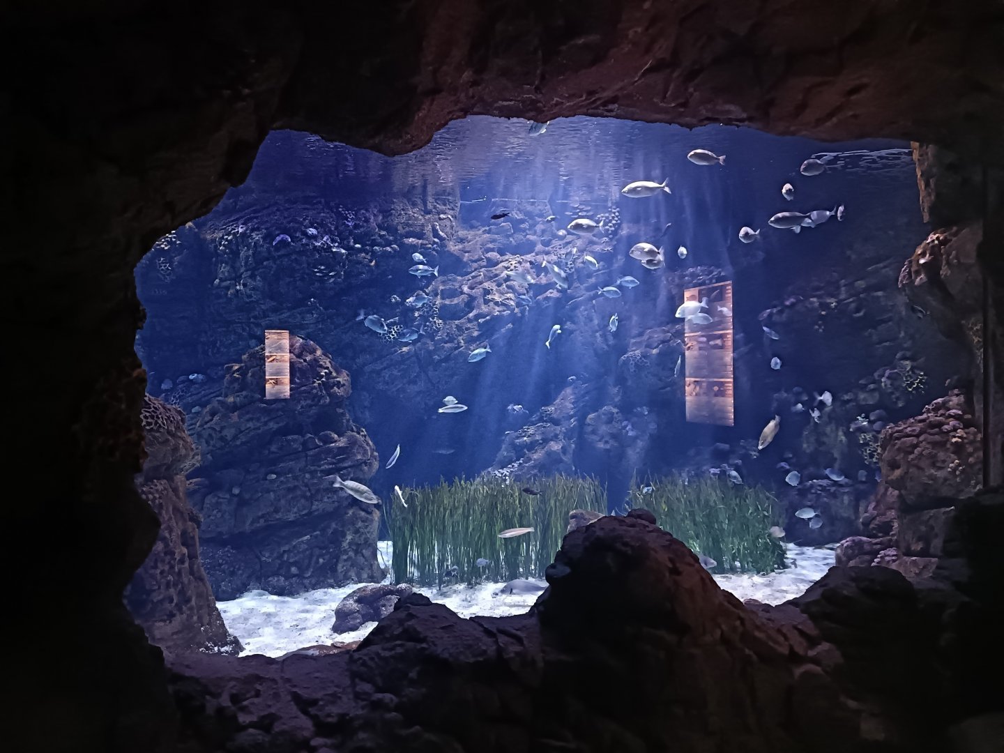 Mediterranean sea aquarium - Centro de visitantes Ses Salines