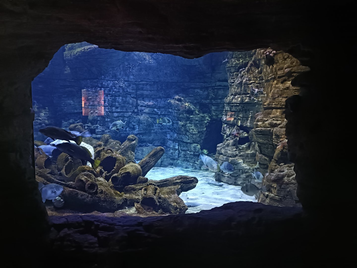 Mediterranean sea aquarium - Centro de visitantes Ses Salines