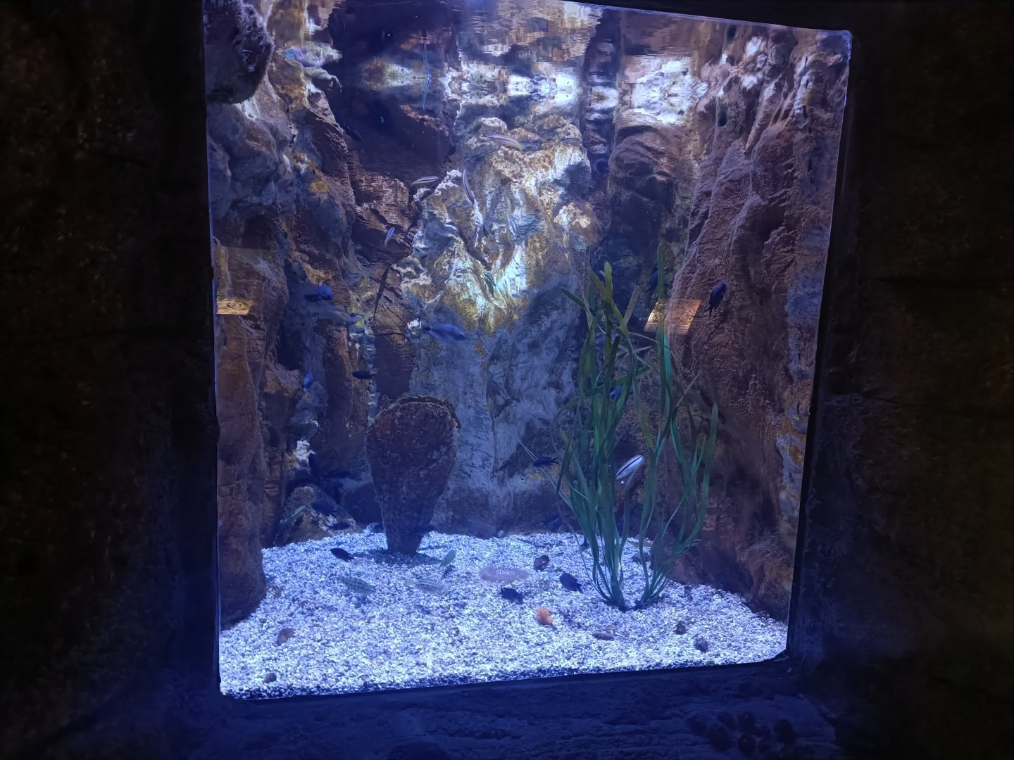 Mediterranean sea aquarium - Centro de visitantes Ses Salines