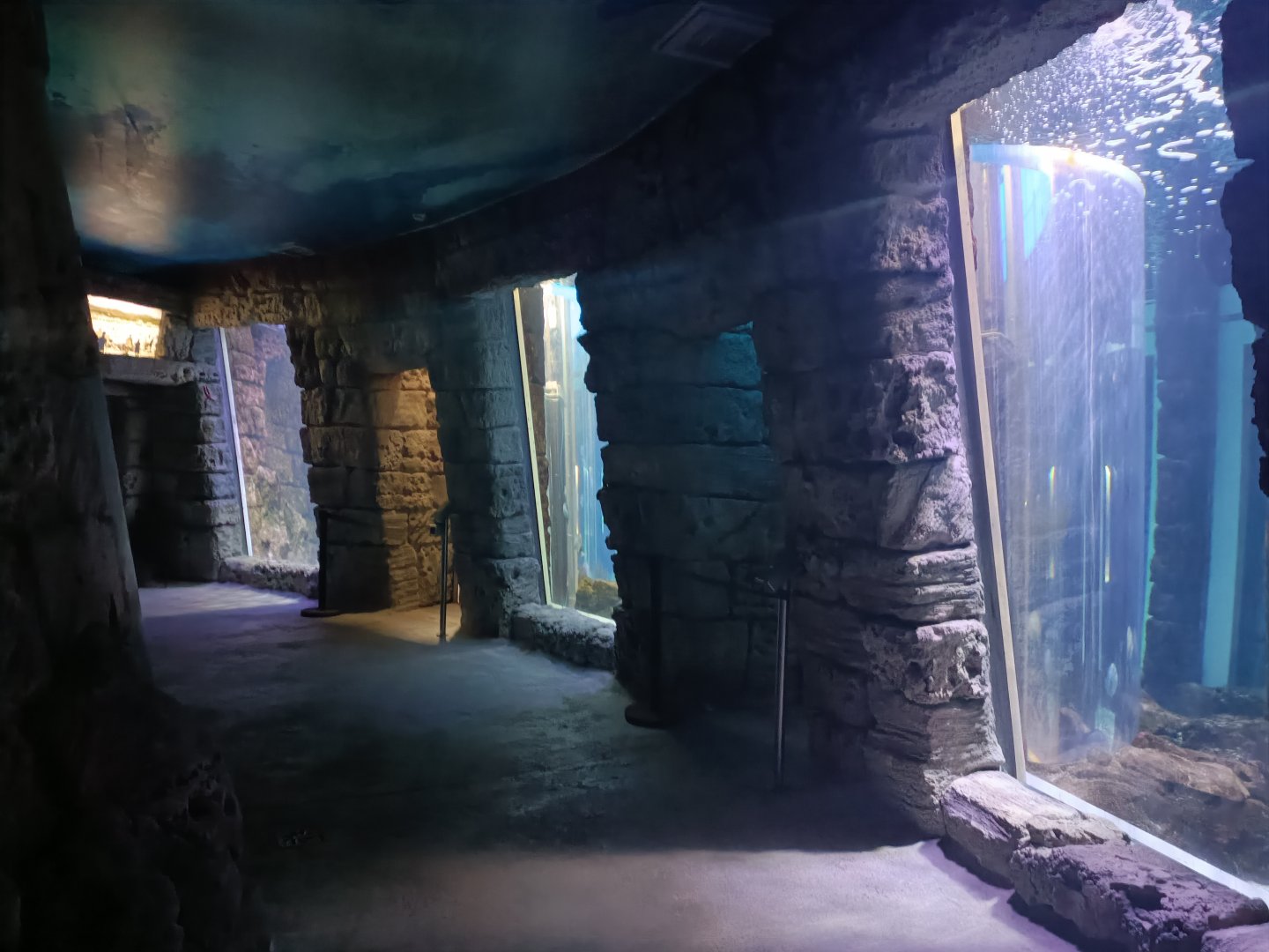 Mediterranean sea aquarium - Centro de visitantes Ses Salines