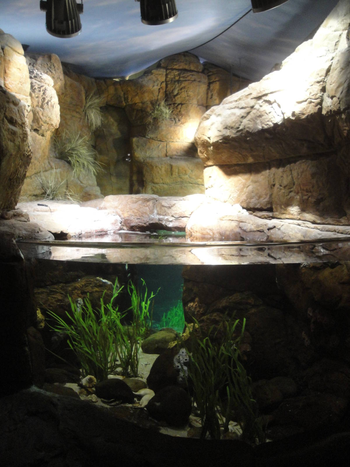 Mediterranean Sea Exhibit