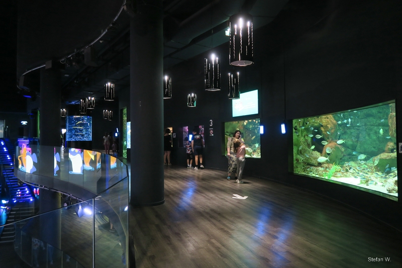 Mediterranean Sea tanks on the ground floor