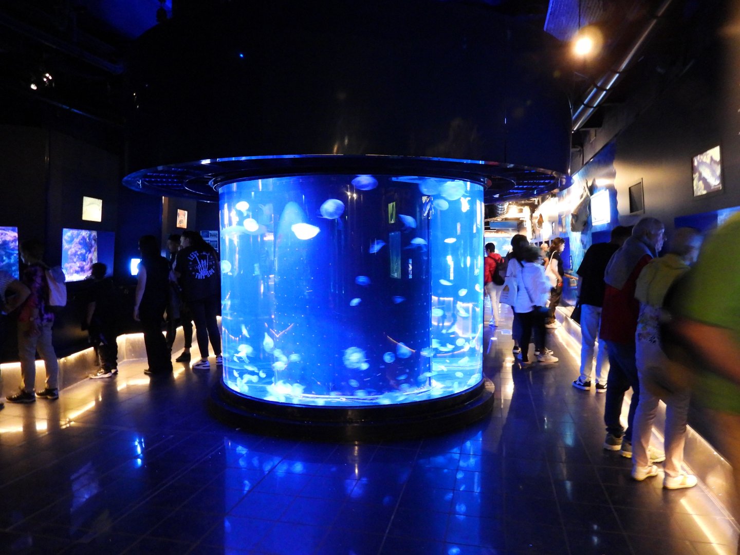 Mediterranean section