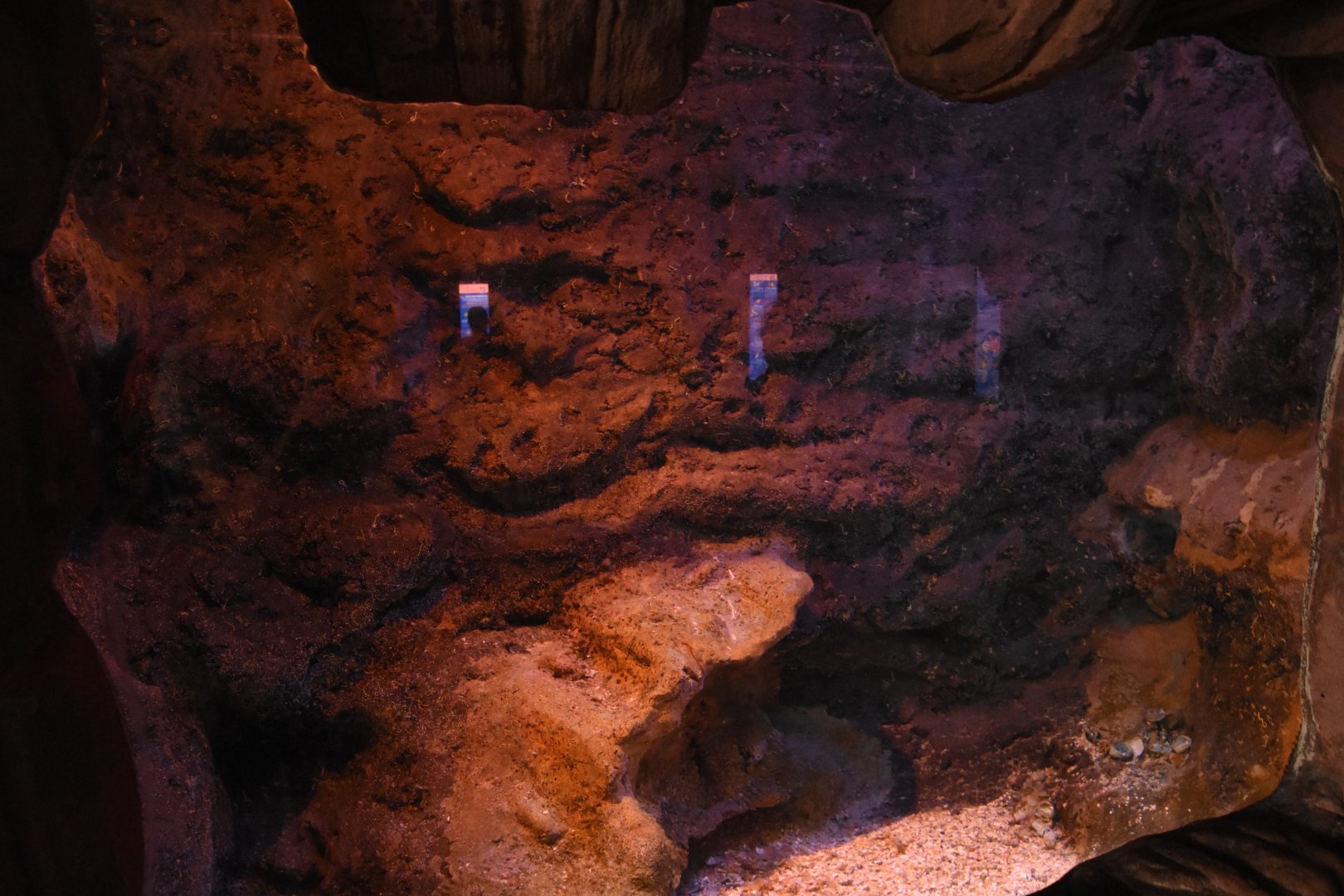 Mediterranean tank example