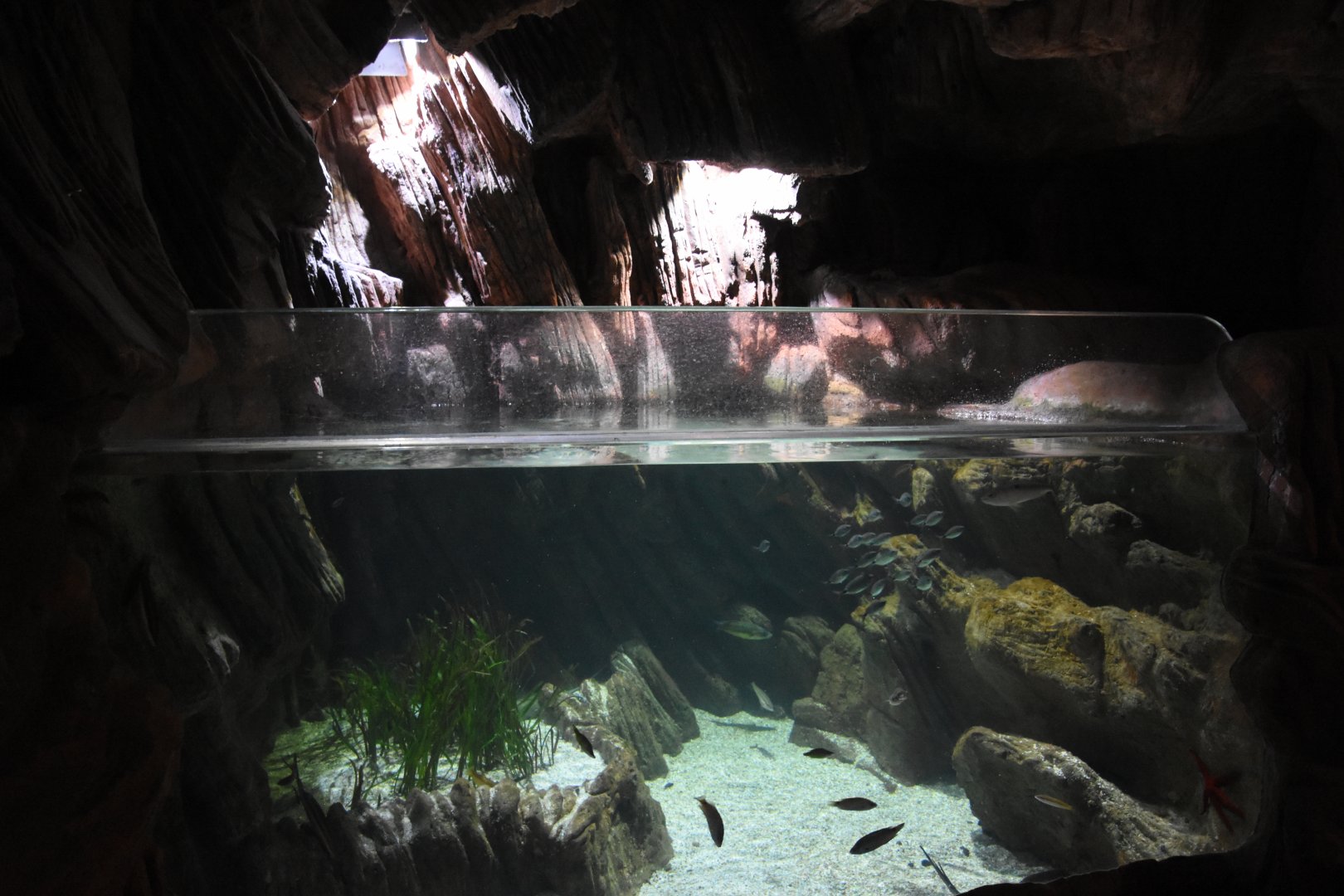 Mediterranean tank example