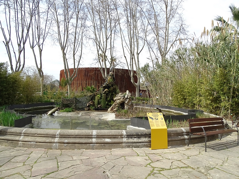 Mediterranean turtle pond