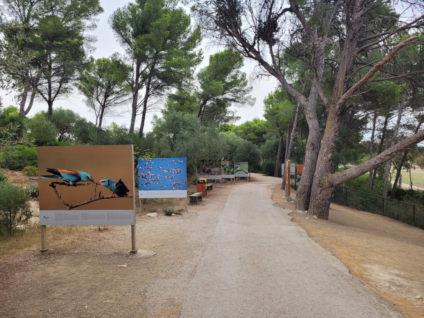 Mediterranean wildlife photography display -Réserve Africaine de Sigean (2022)