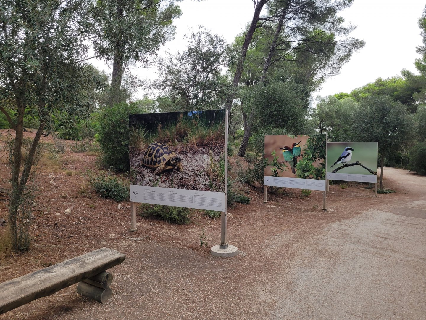 Mediterranean wildlife photography display -Réserve Africaine de Sigean (2022)