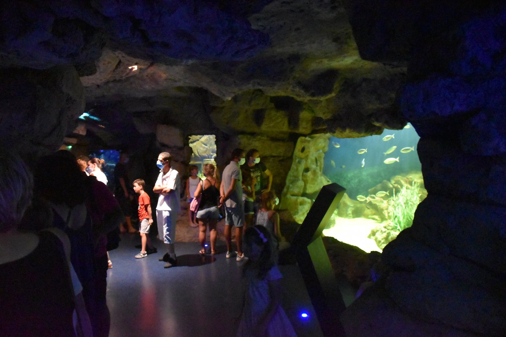 Mediterranean Zone - Rock crevasses