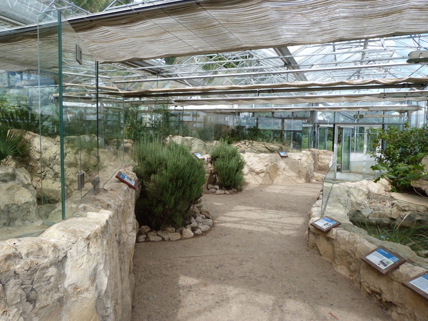 "Mediterraneum" inside view -Zoo Plzeň (2025)