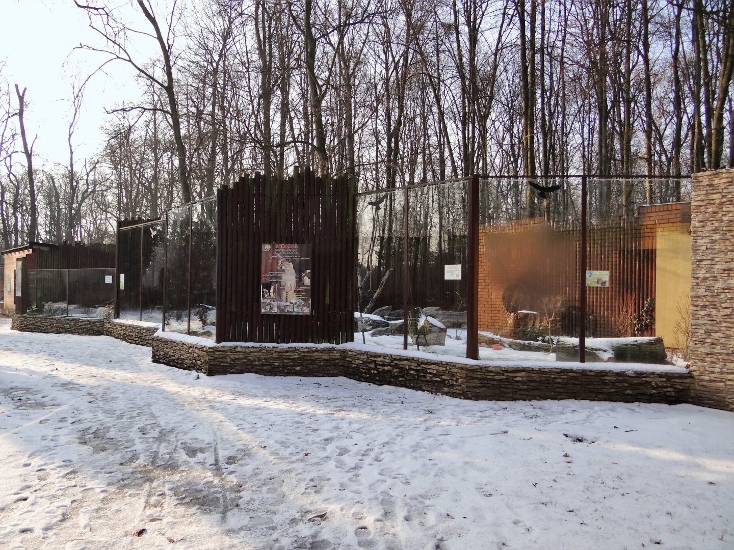 Medium carnivores exhibits