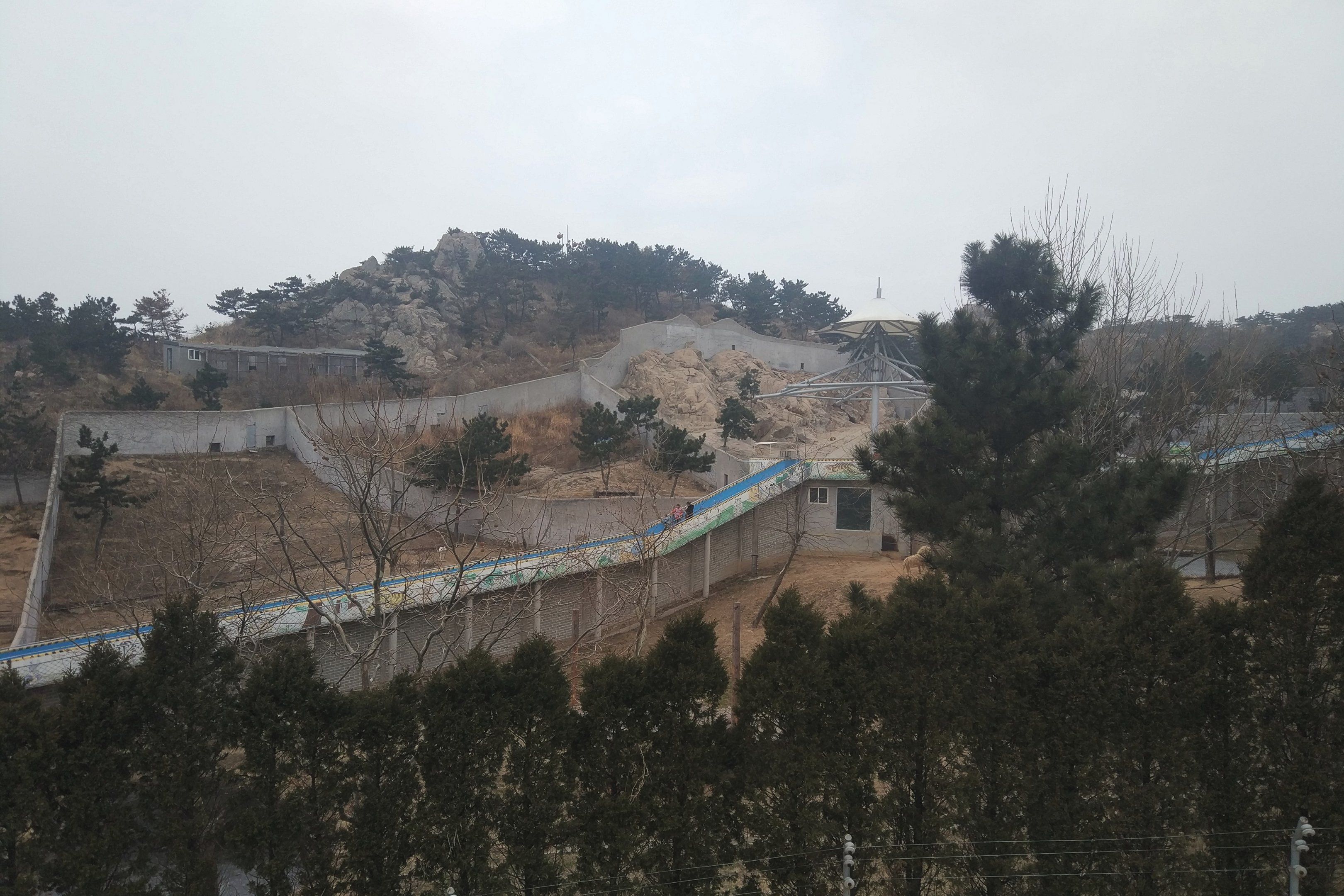 Medium-sized Carnivore Exhibits