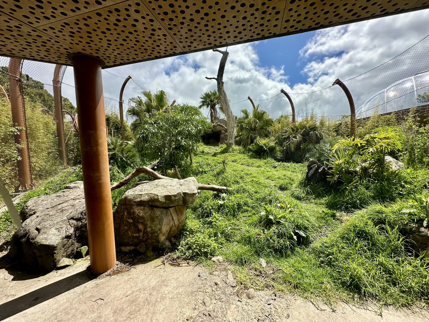 Medium Sumatran Tiger Exhibit