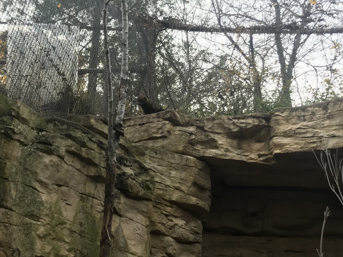 Medtronic Minnesota Trail - Fisher Exhibit