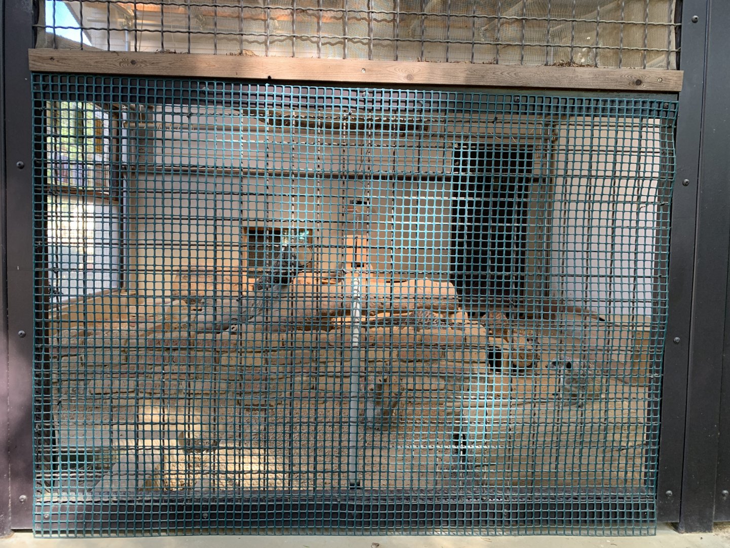 Meekat Enclosure (Himeji City Zoo)