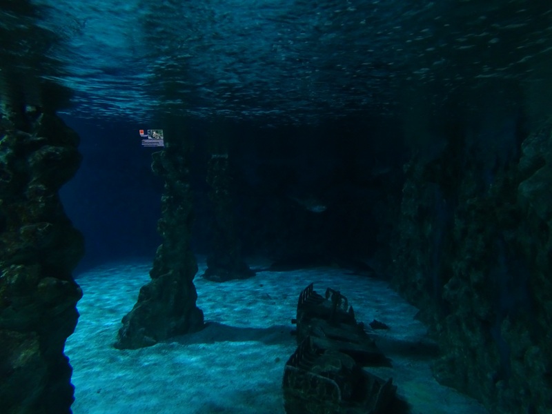 Meeresaquarium Zella-Mehlis: Large shark tank