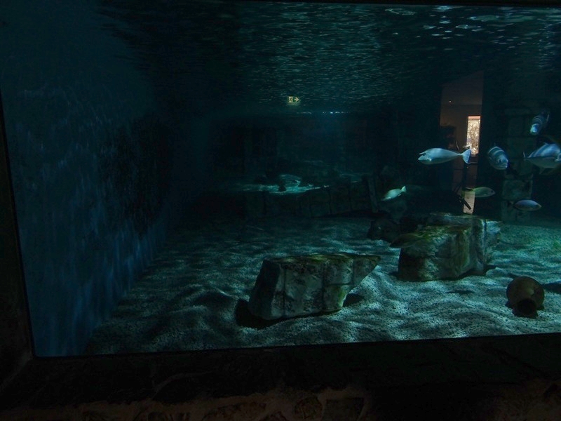 Meeresaquarium Zella-Mehlis: Sunken temple tank