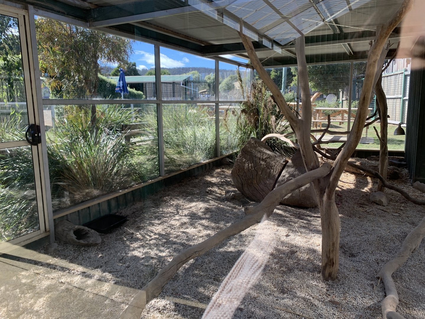 Meerkat 1st Enclosure 1/2