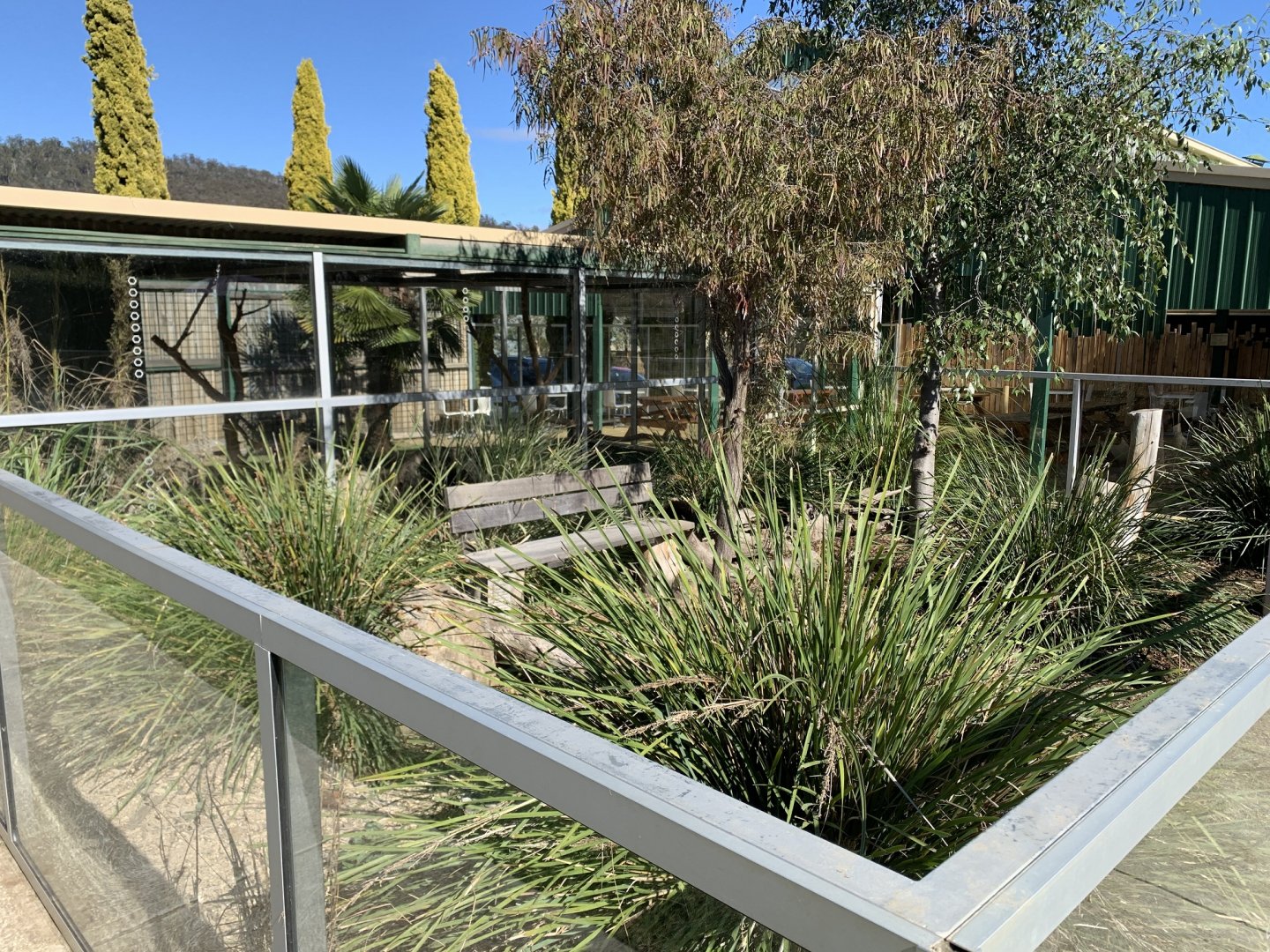 Meerkat 1st Enclosure 2/2