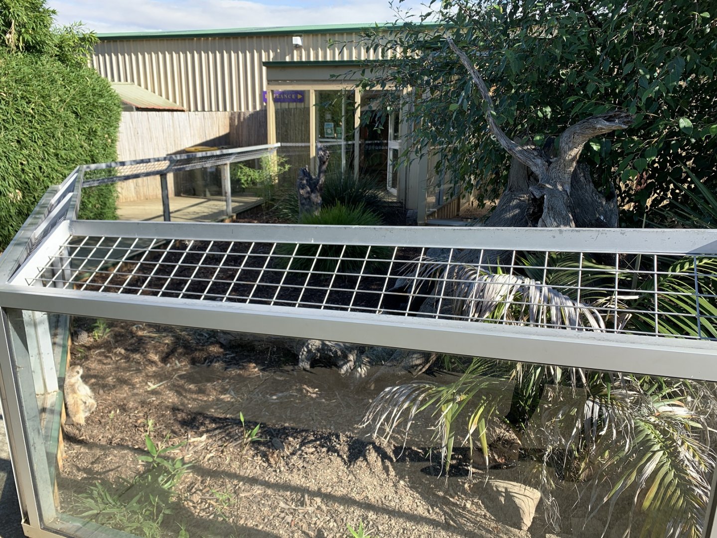 Meerkat 2nd Enclosure 2/3