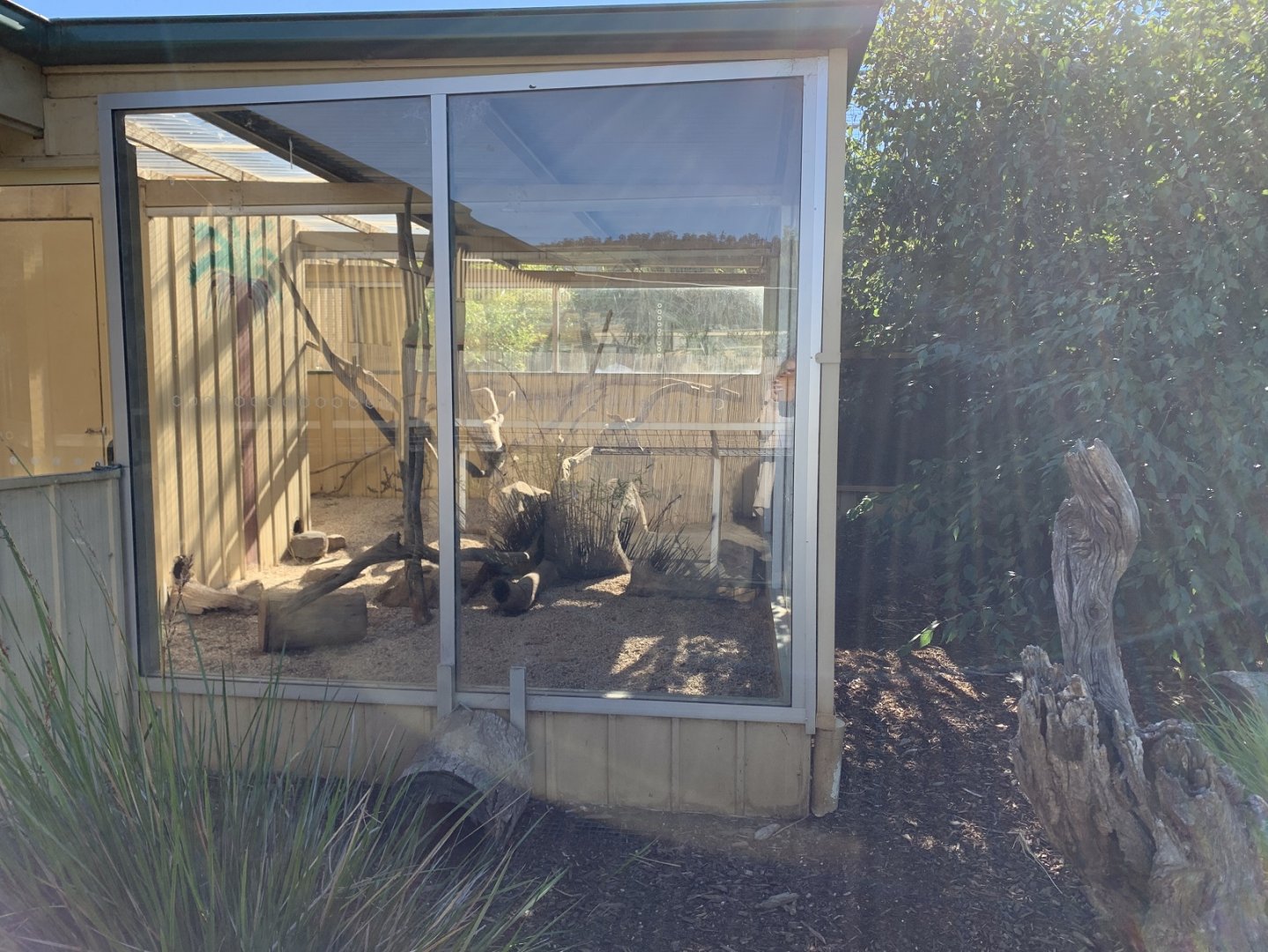 Meerkat 2nd Enclosure 3/3