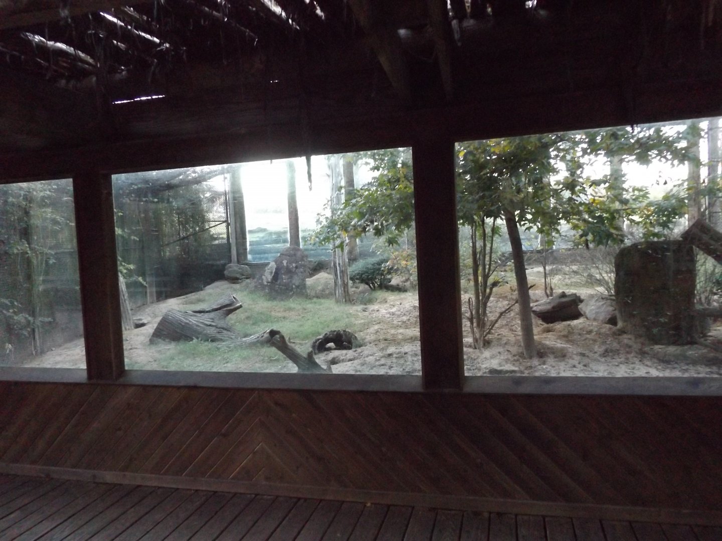 Meerkat & African crested Porcupine Exhibit