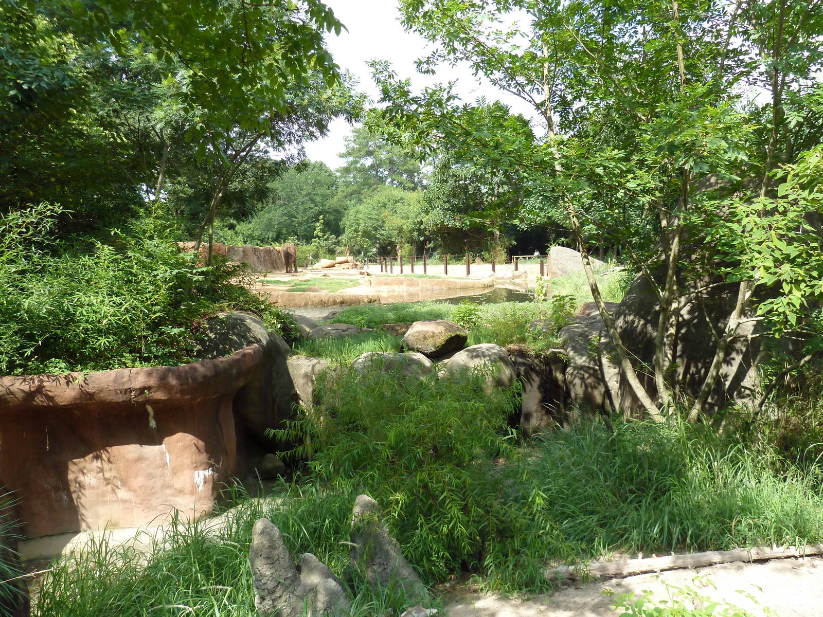 Meerkat + African Elephant Exhibits