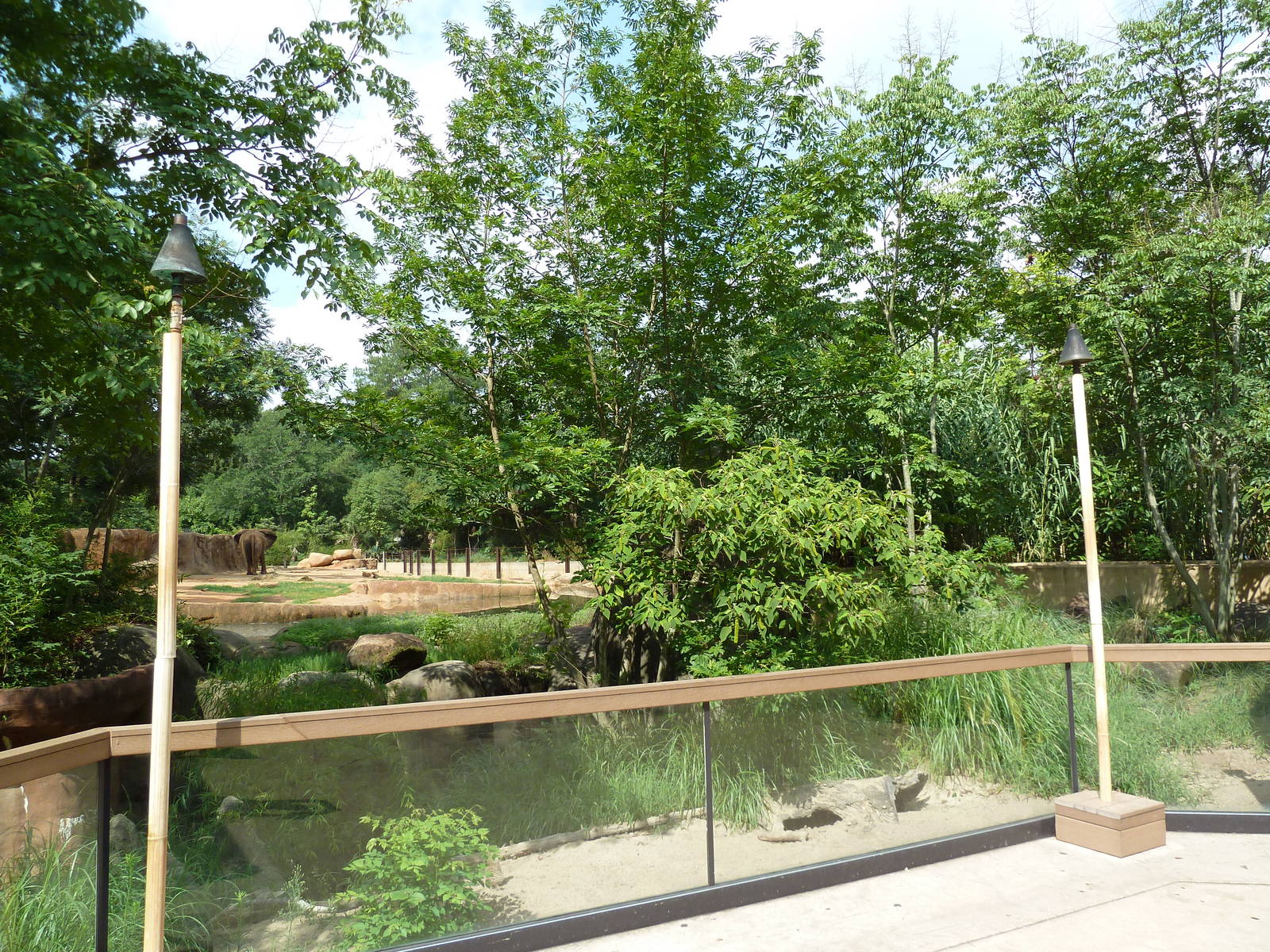 Meerkat + African Elephant Exhibits