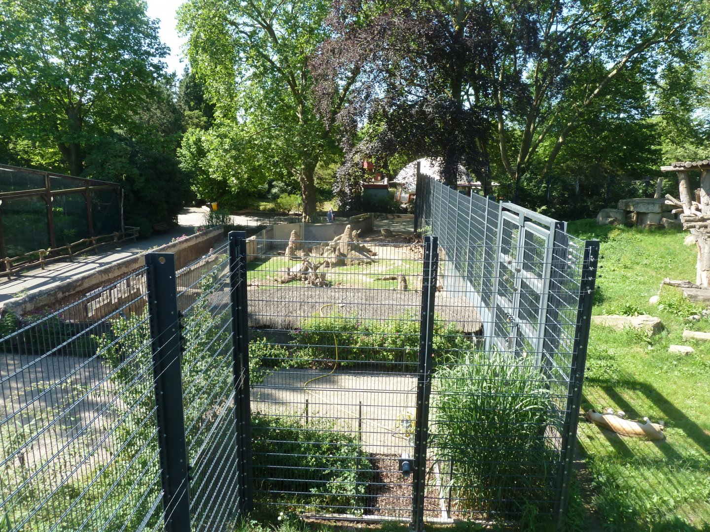 Meerkat & African porcupine enclosure seen from viewing tower
