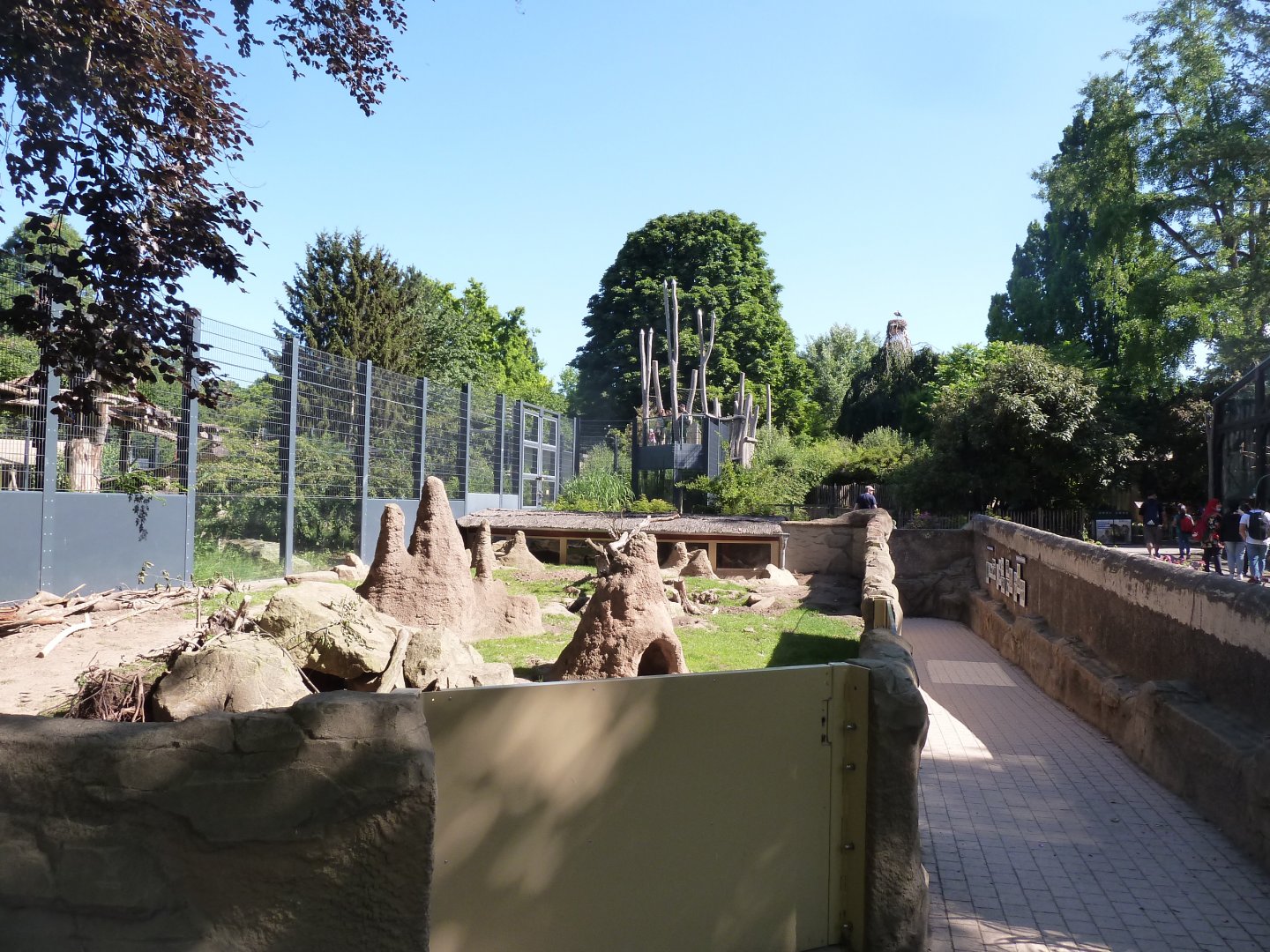 Meerkat & African porcupine enclosure