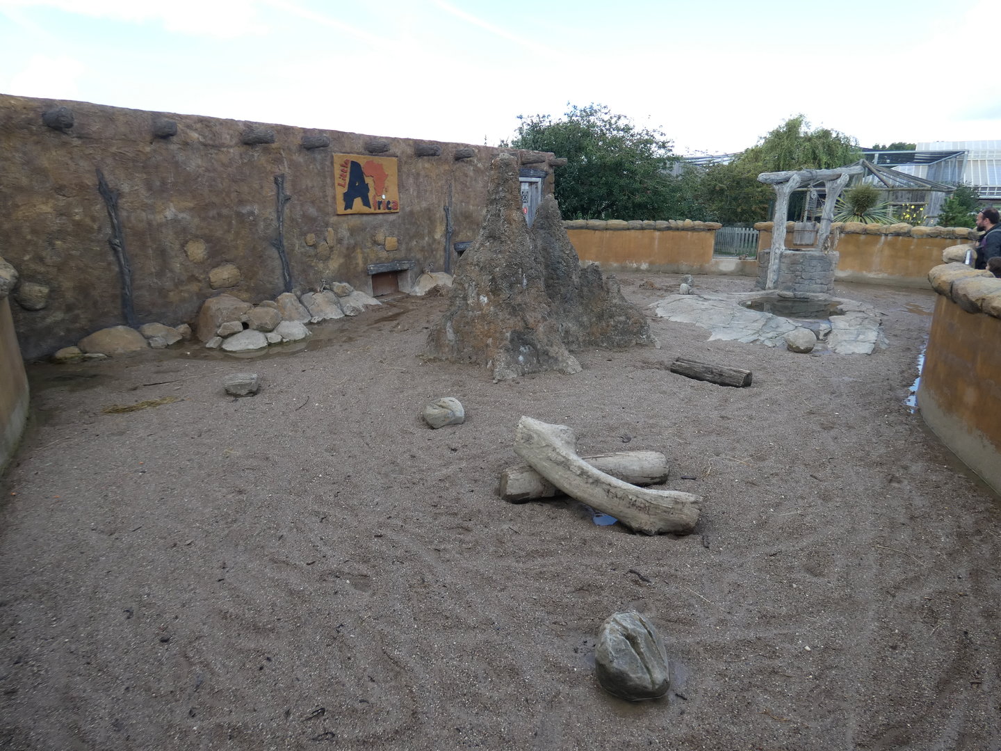 Meerkat and African spurred tortoise outdoor enclosure