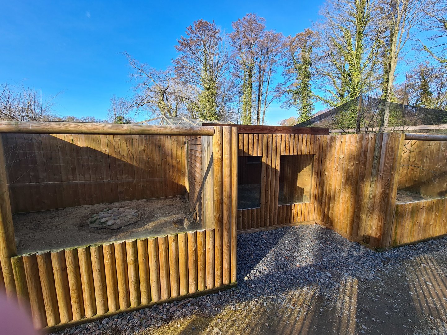 Meerkat and Banded Mongoose Exhibit