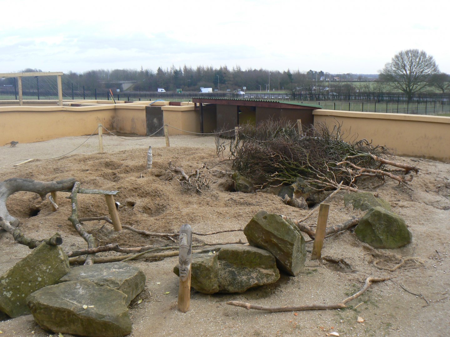 Meerkat and Cape Porcupine Enclosure - 12 February 2018