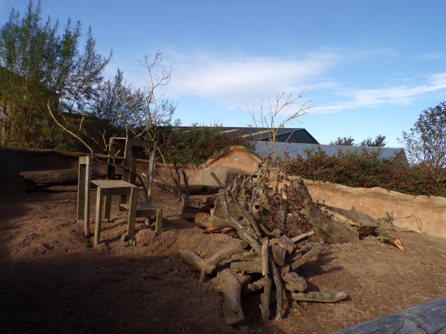 Meerkat and cape porcupine enclosure 14.10.23