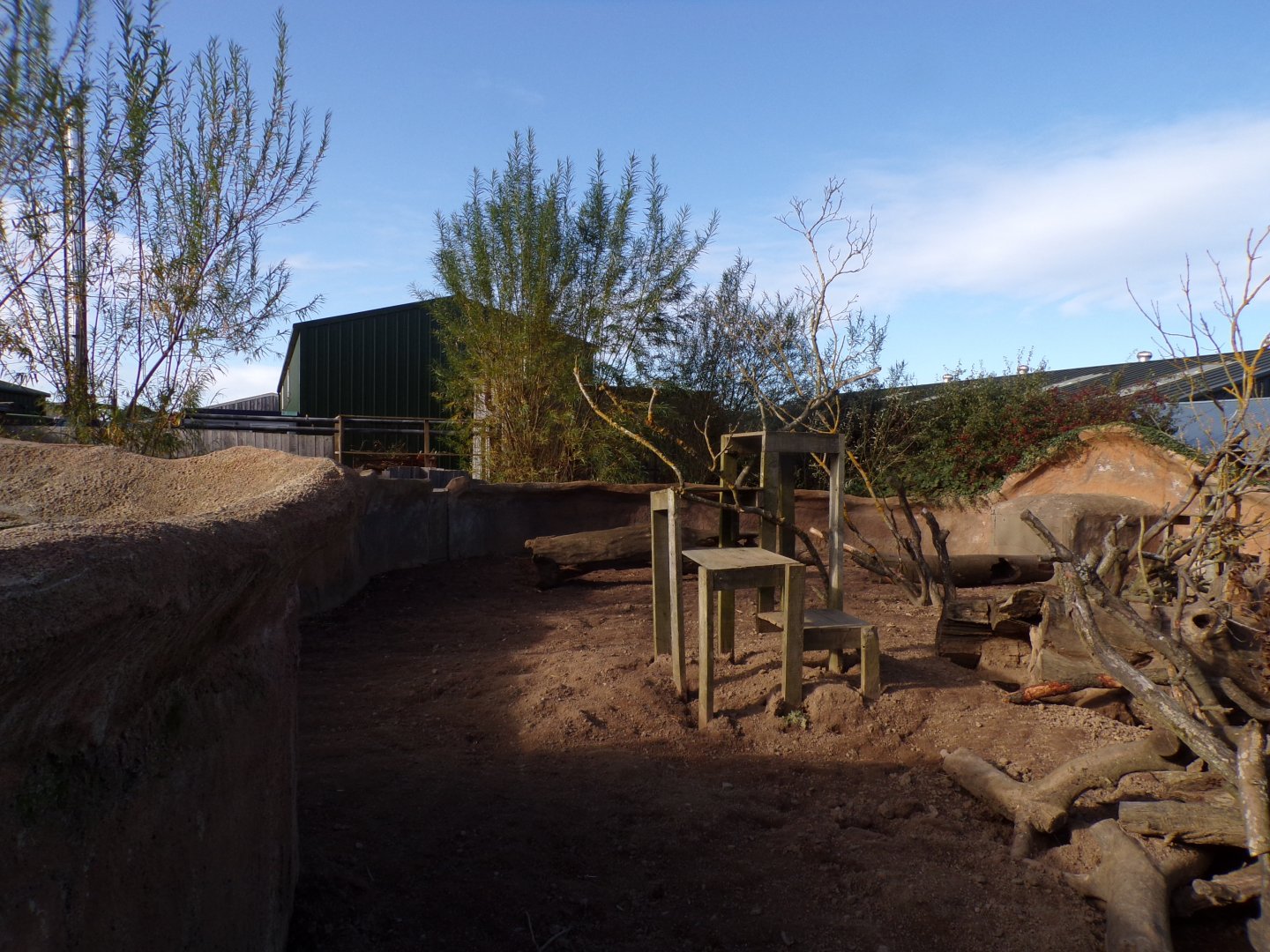 Meerkat and cape porcupine enclosure 14.10.23