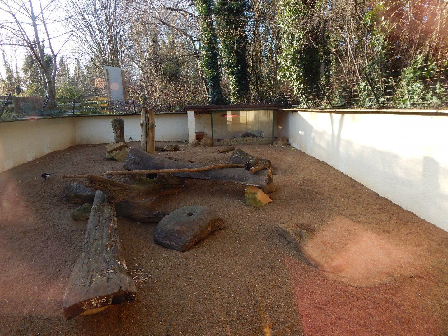 Meerkat and Cape porcupine enclosure 260124