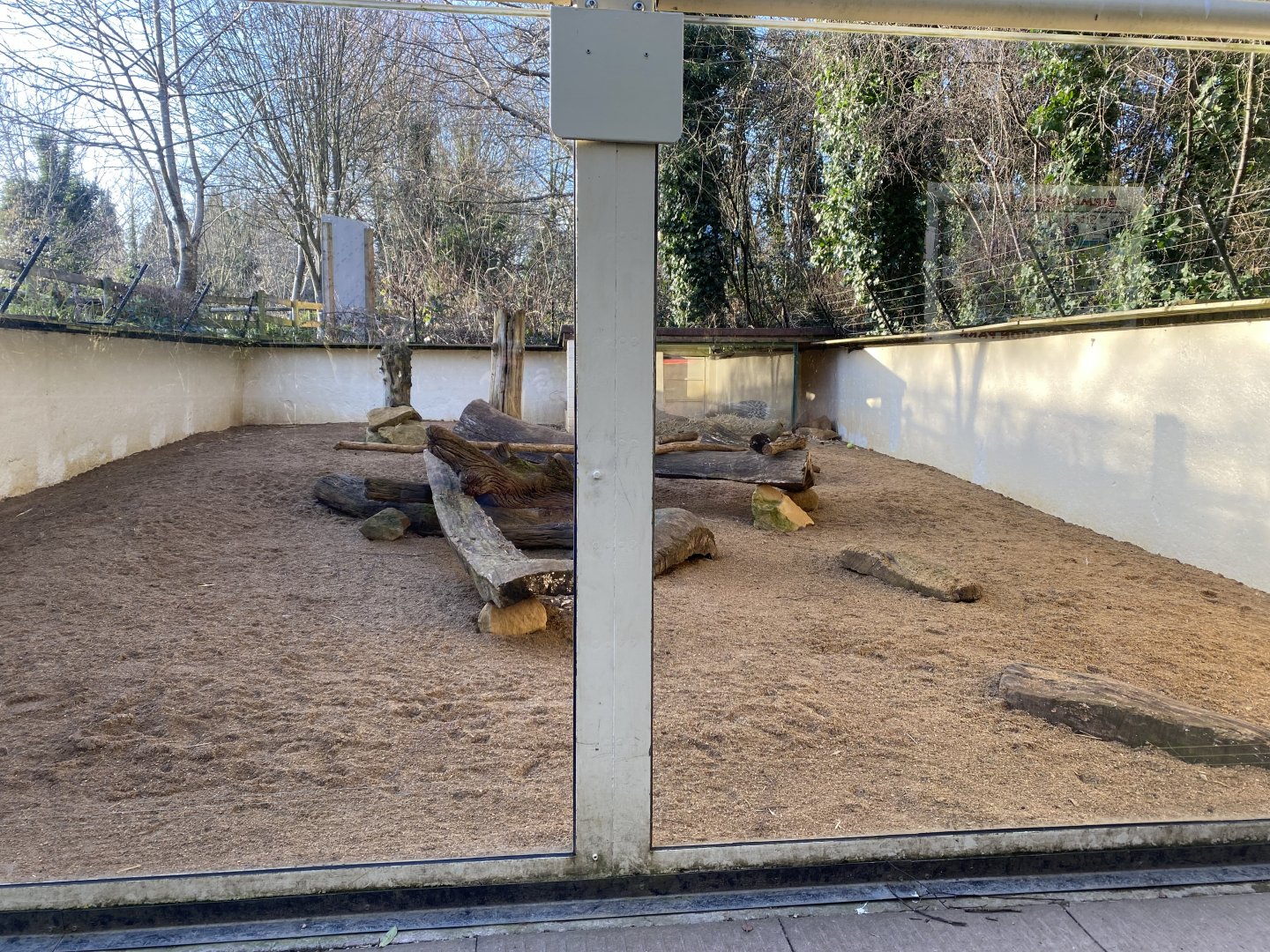 Meerkat and Crested porcupine enclosure 260124