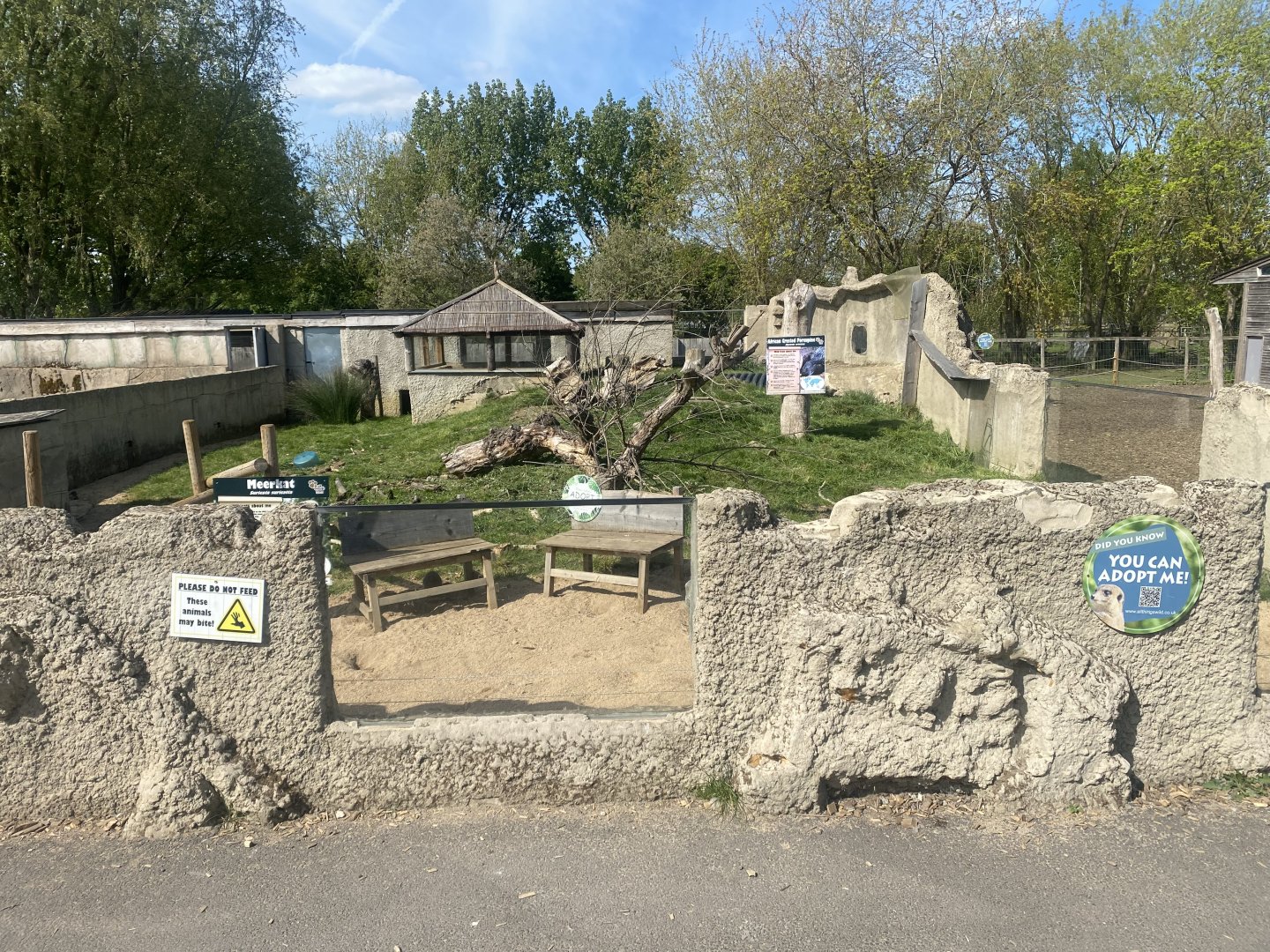 Meerkat and Crested porcupine exhibit 280425