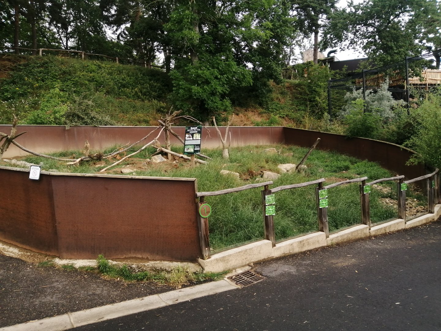 Meerkat and crested porcupine exhibit