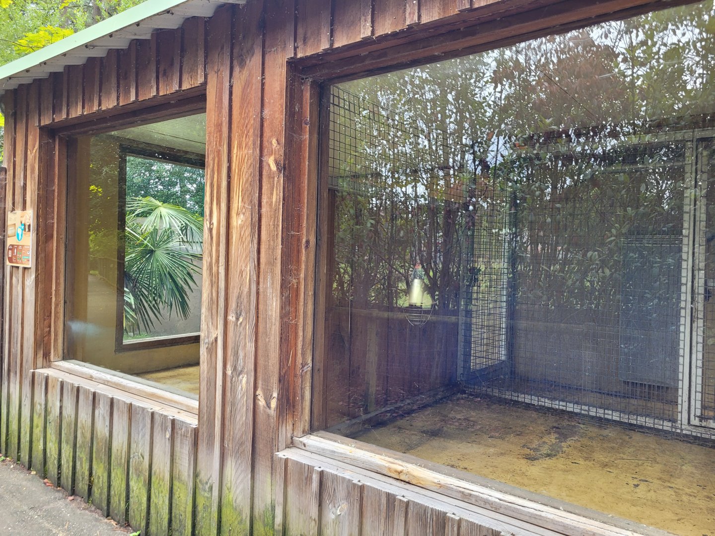 Meerkat and Fennec house -Zoo du bassin d'Arcachon (2024)