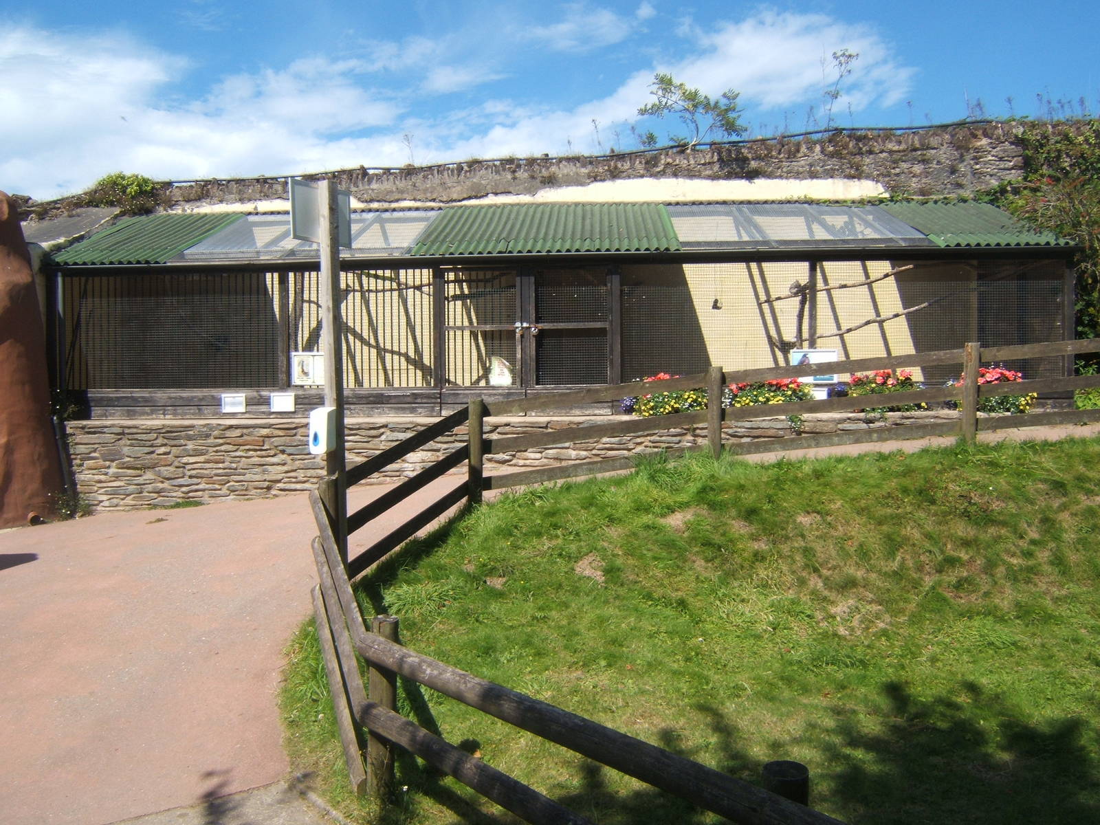Meerkat and Harris Hawk enclosures