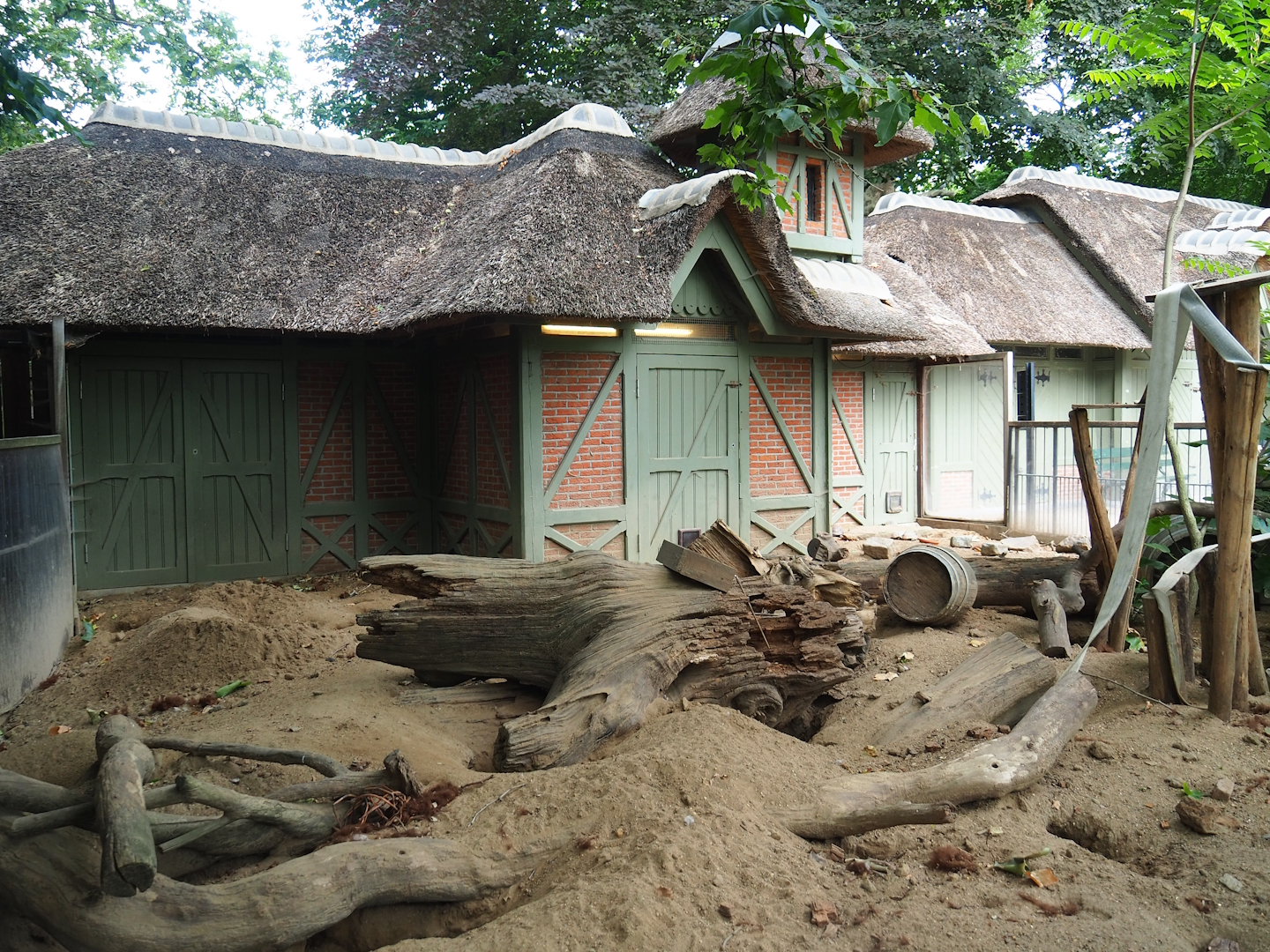 Meerkat and Hermann's tortoise exhibit, 2023-07-02